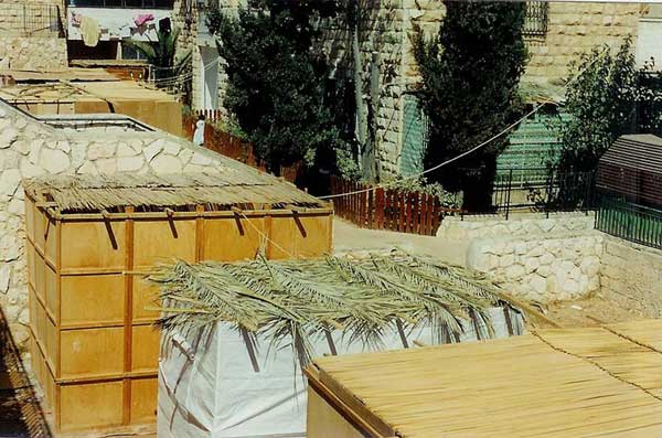 Sukkot (Jewish Festival)