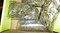International day against drug abuse and illicit trafficking
