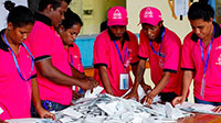 International Day of Democracy