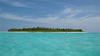 World Ocean Day