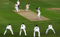 Sports Cricket