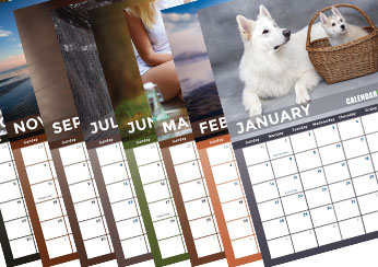 2019 Dog Photo Calendar