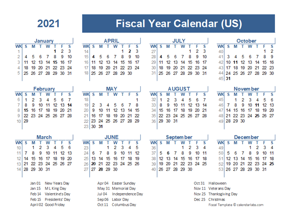 2021 Fiscal Planner USA