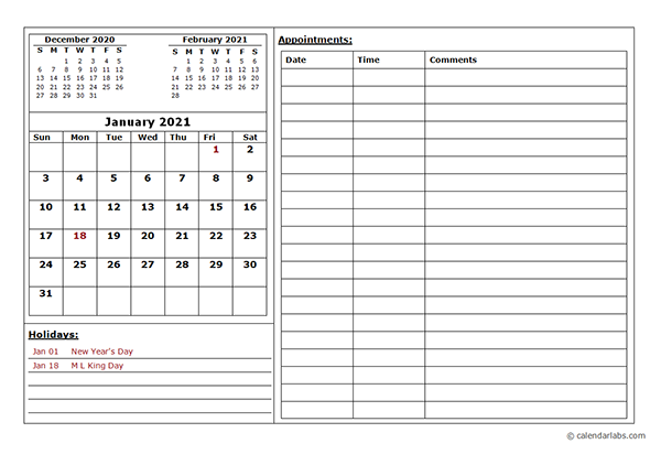 2021 Monthly Appointment Calendar