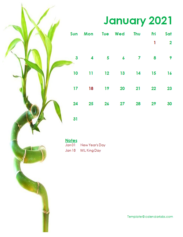 2021 Monthly Calendar Template Green Design
