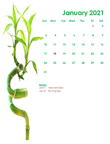 2021 monthly calendar green design template