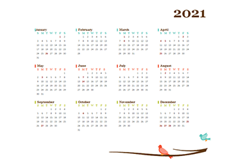 2021 Yearly India Calendar Design Template