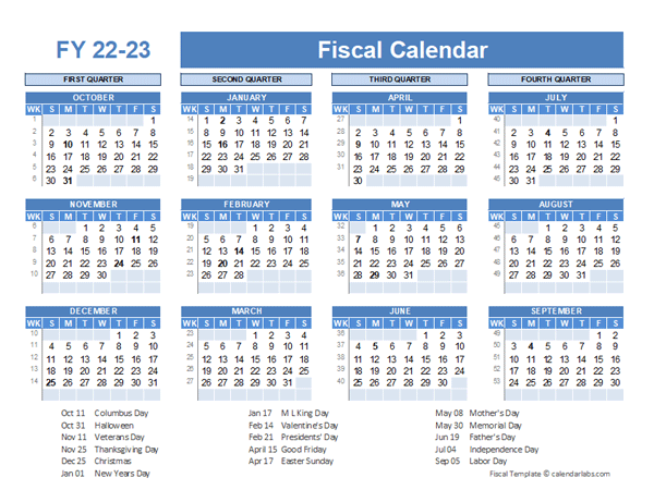 Fiscal Planner Template 2022