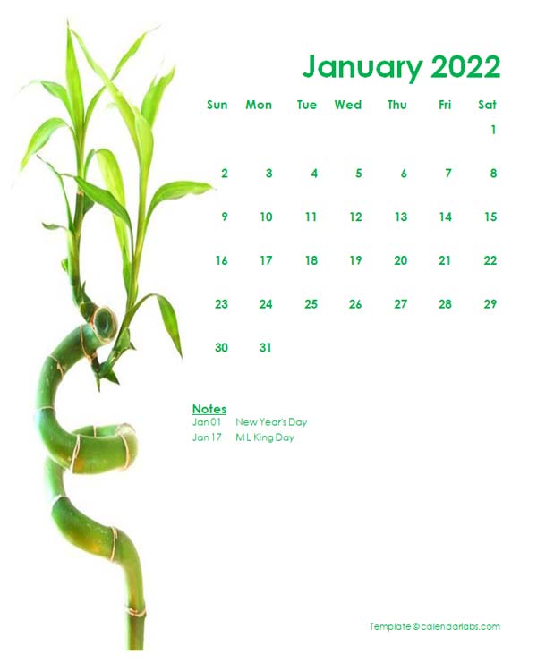 2022 Editable Word Calendar Design Template