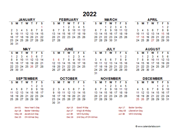 2022 Year at a Glance Calendar with Netherlands Holidays
