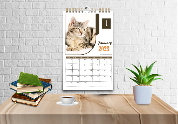 2023 Cat Wall Calendar