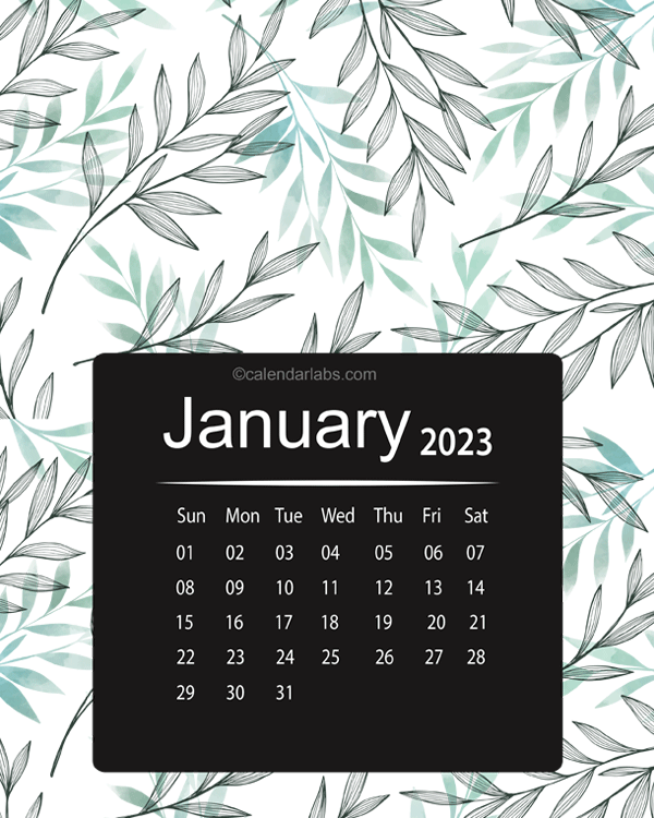 2023 Colorful Classic Nature Pattern Calendar
