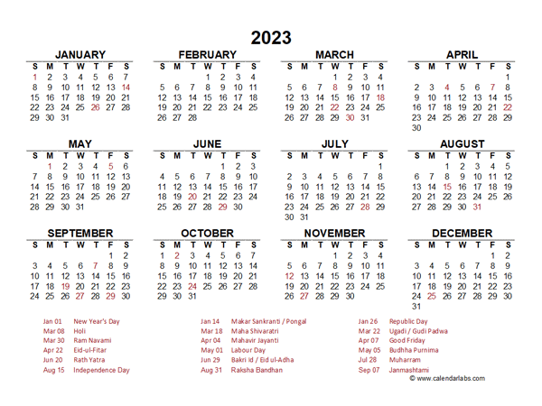 2023 Year at a Glance Calendar with India Holidays