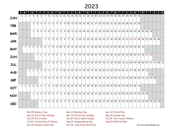 2023 Yearly Project Timeline Calendar Pakistan
