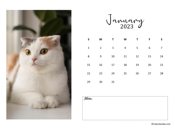 Free 2023 Photo Calendar Template