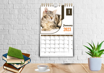 2023 Cat Wall Calendar