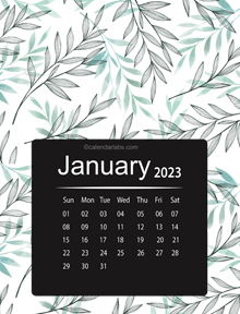 2023 Colorful Classic Nature Pattern Calendar