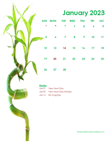 2023 Editable Word Calendar Design Template