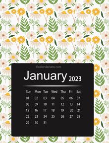 2023 Floral Printable Pattern Calendar