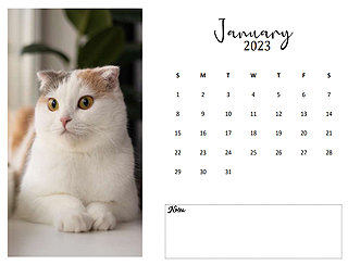 free-2023-monthly-photo-calendar