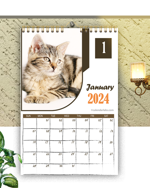 2024 Cat Wall Calendar