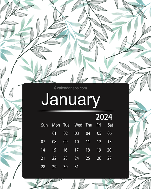 2024 Colorful Classic Nature Pattern Calendar