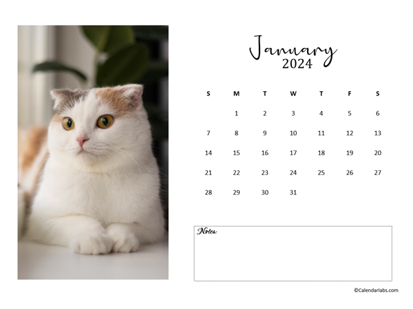 Free 2024 Photo Calendar Template