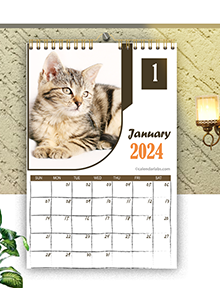 2024 Cat Wall Calendar