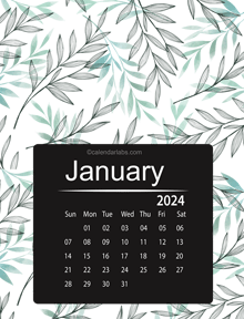 2024 Colorful Classic Nature Pattern Calendar
