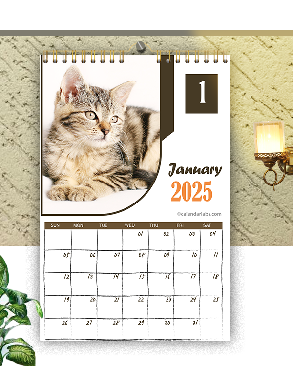 2025 Cat Wall Calendar Free Printable Templates