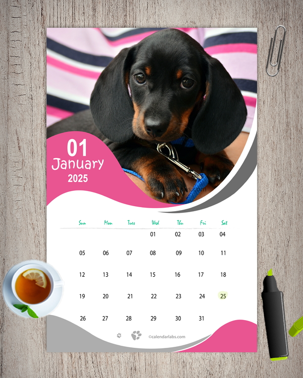 2025 Dog Breed Monthly Wall Calendar