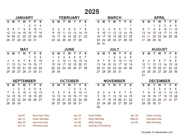 2025 Year at a Glance Calendar with Netherlands Holidays