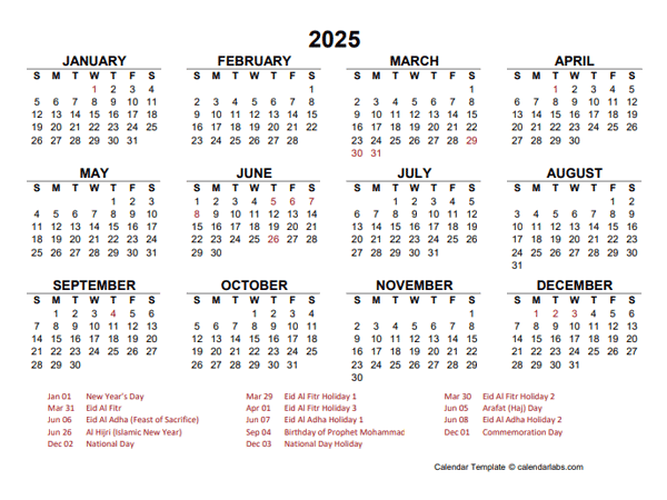 2025 Year at a Glance Calendar with UAE Holidays
