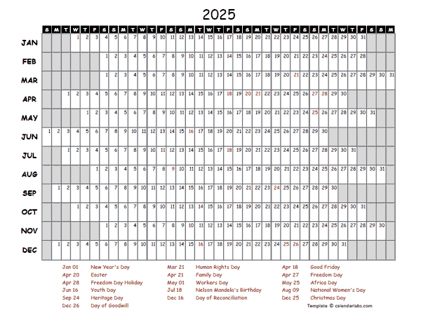 2025 Yearly Project Timeline Calendar South Africa