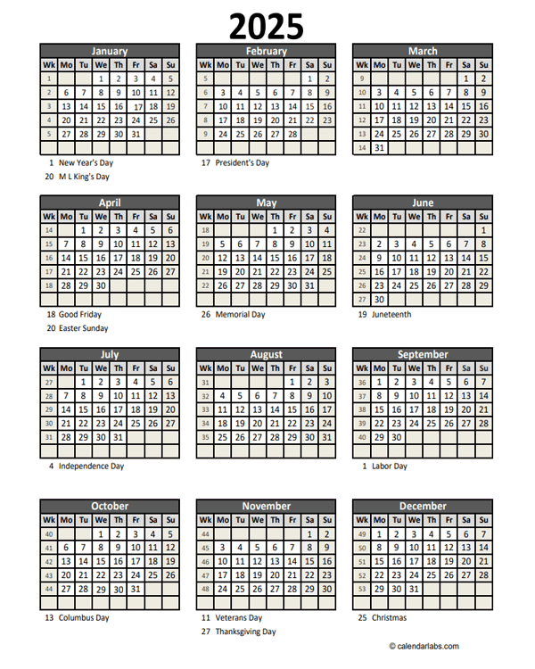 Editable 2025 Yearly Spreadsheet Calendar