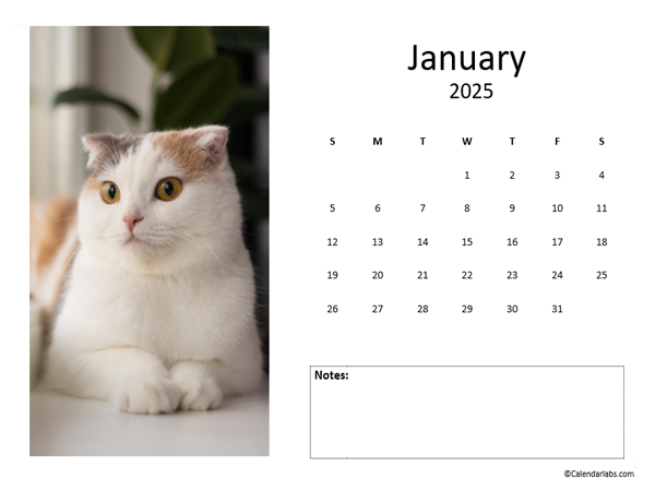 free-2025-monthly-photo-calendar - Free Printable Templates