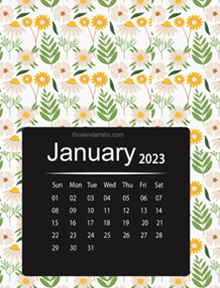 2025 Floral Printable Pattern Calendar