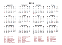 2025 Year at a Glance Calendar with India Holidays