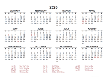 2025 Year at a Glance Calendar with Netherlands Holidays