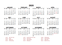 2025 Year at a Glance Calendar with New Zealand Holidays