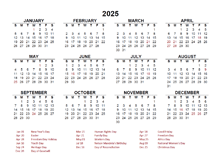 2025 Year at a Glance Calendar with South Africa Holidays