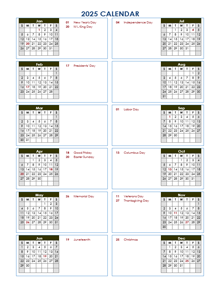2025 Year At A Glance Word Calendar Template