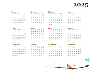 2025 Yearly Ireland Calendar Design Template