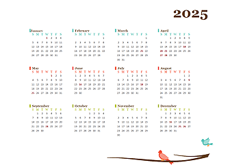 2025 Yearly South Africa Calendar Design Template