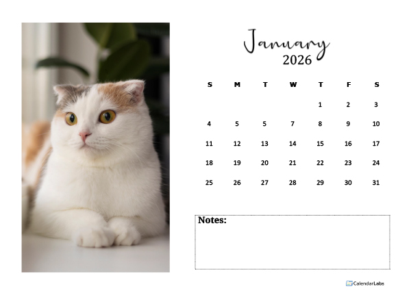 Free 2026 Photo Calendar Template