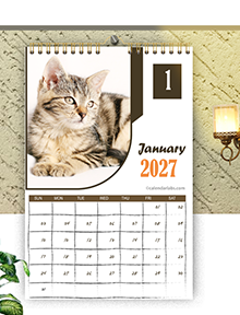 2027 Cat Wall Calendar