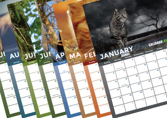 2028 Cat Photo Calendar