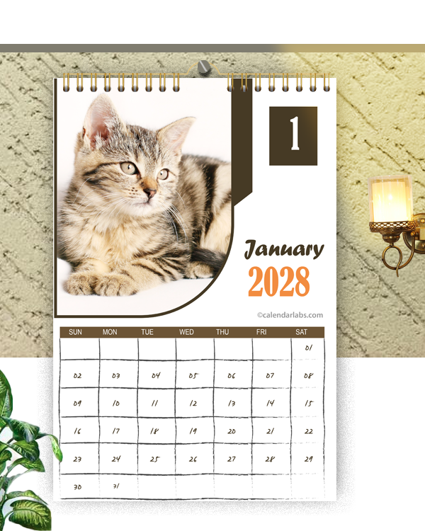 2028 Cat Wall Calendar