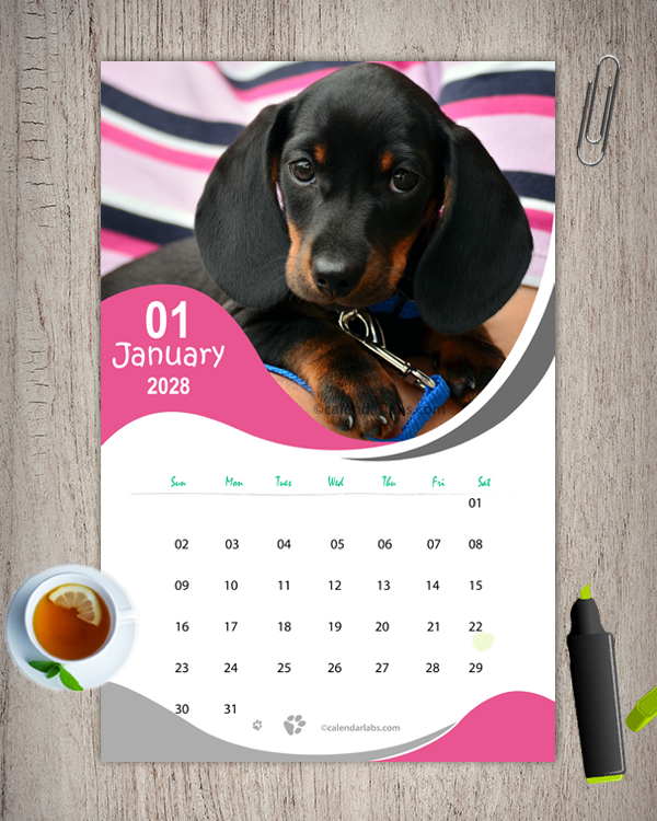 2028 Dog Breed Monthly Wall Calendar