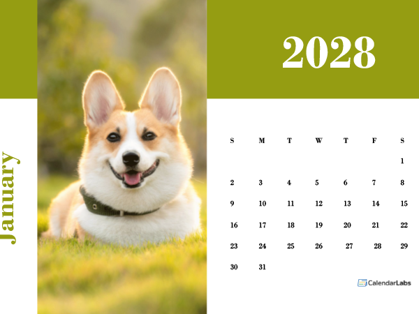 2028 Photo Calendar Landscape Template